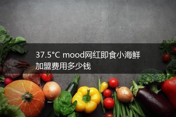 37.5°C mood网红即食小海鲜加盟费用多少钱