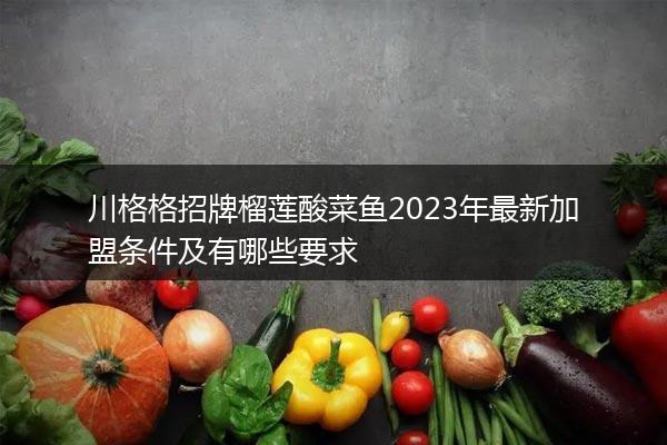 川格格招牌榴莲酸菜鱼2023年最新加盟条件及有哪些要求