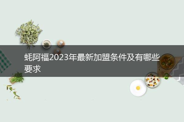 蚝阿福2023年最新加盟条件及有哪些要求