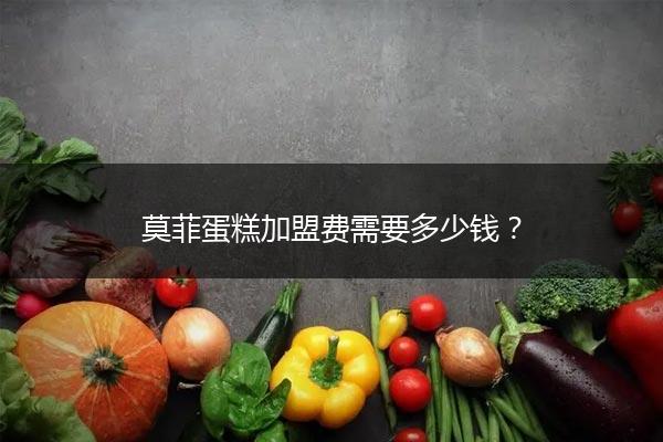 莫菲蛋糕加盟费需要多少钱？