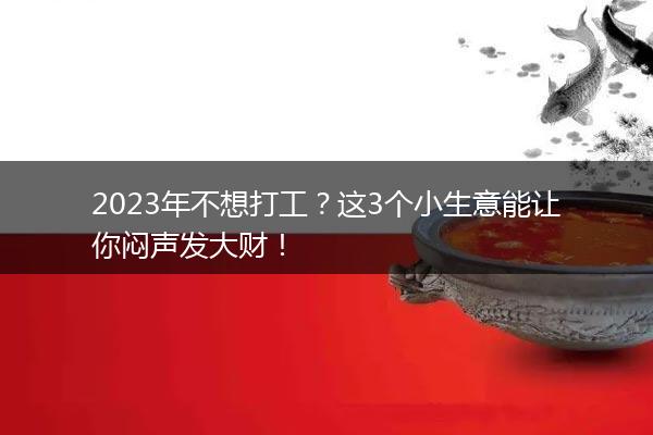 2023年不想打工？这3个小生意能让你闷声发大财！