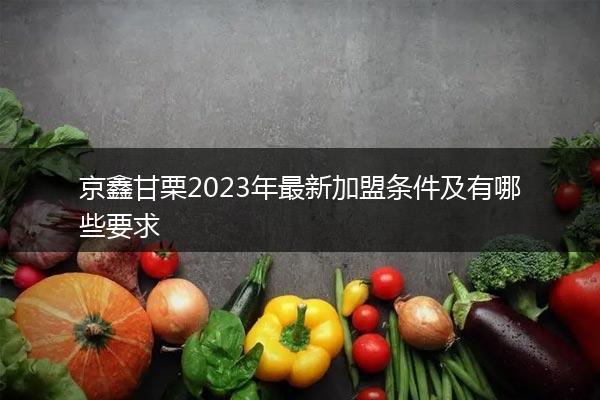 京鑫甘栗2023年最新加盟条件及有哪些要求