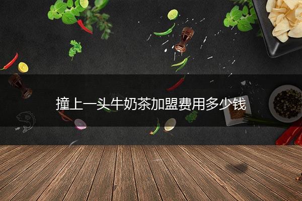 撞上一头牛奶茶加盟费用多少钱