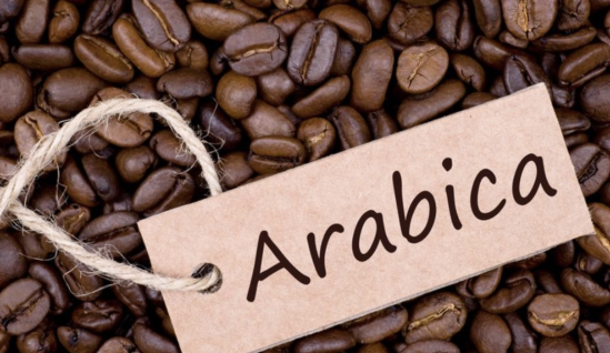 阿拉比卡咖啡豆可以用来制作什么呢？