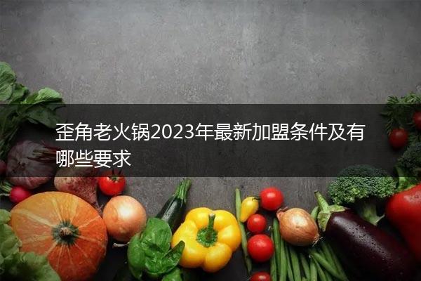 歪角老火锅2023年最新加盟条件及有哪些要求