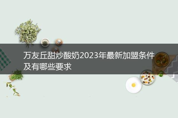 万友丘甜炒酸奶2023年最新加盟条件及有哪些要求