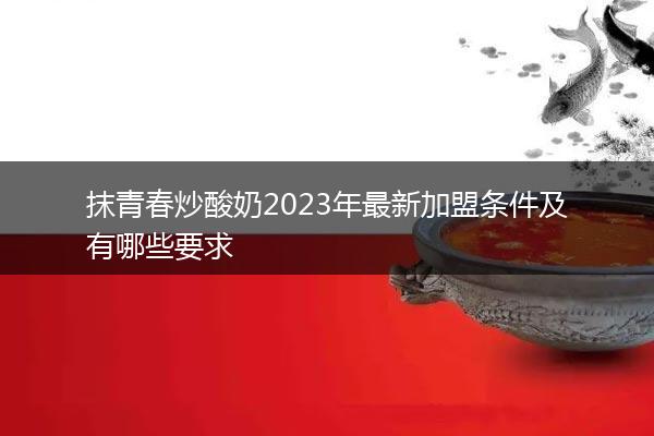 抹青春炒酸奶2023年最新加盟条件及有哪些要求