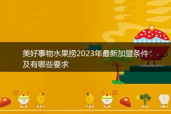 美好事物水果捞2023年最新加盟条件及有哪些要求