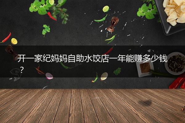 开一家纪妈妈自助水饺店一年能赚多少钱？