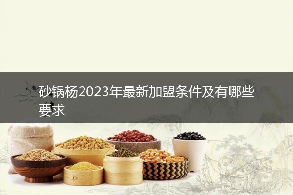 砂锅杨2023年最新加盟条件及有哪些要求