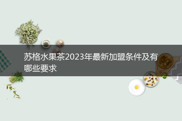 苏格水果茶2023年最新加盟条件及有哪些要求