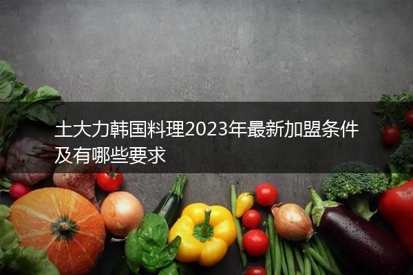 土大力韩国料理2023年最新加盟条件及有哪些要求