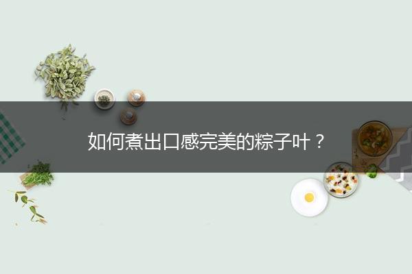 如何煮出口感完美的粽子叶？