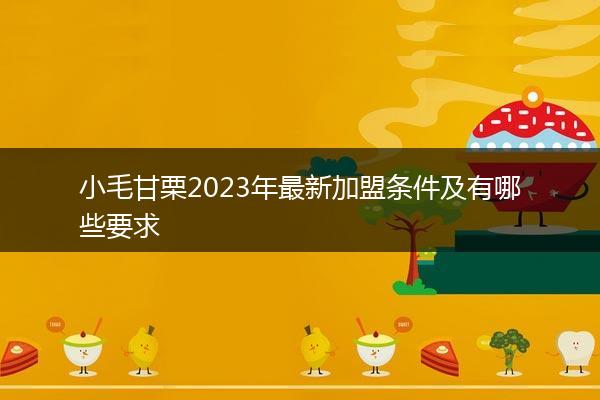 小毛甘栗2023年最新加盟条件及有哪些要求