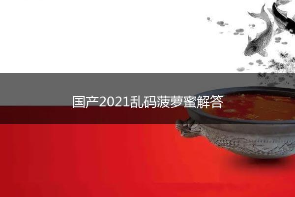 国产2021乱码菠萝蜜解答