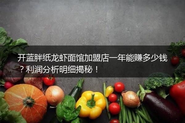 开蓝胖纸龙虾面馆加盟店一年能赚多少钱？利润分析明细揭秘！