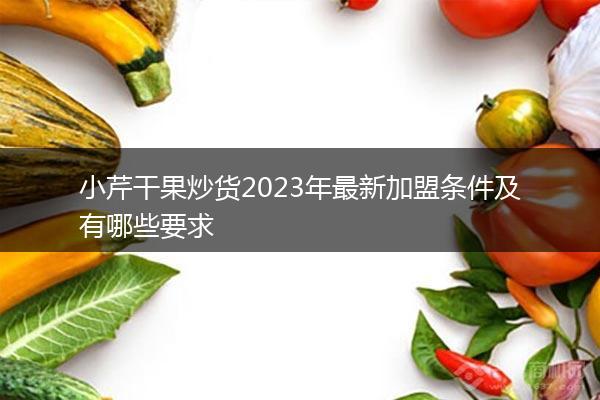 小芹干果炒货2023年最新加盟条件及有哪些要求