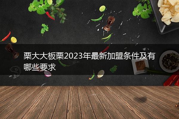 栗大大板栗2023年最新加盟条件及有哪些要求