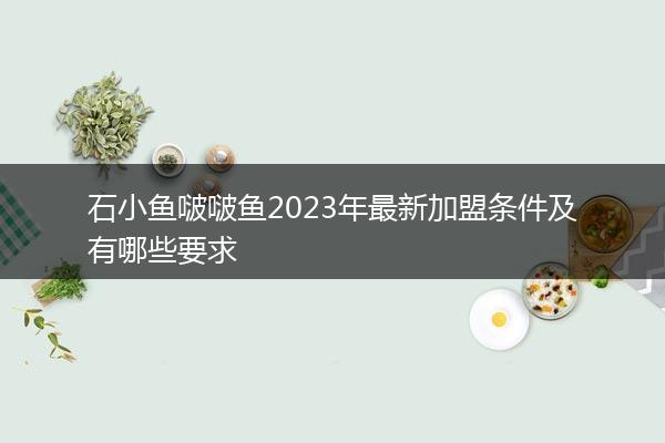 石小鱼啵啵鱼2023年最新加盟条件及有哪些要求