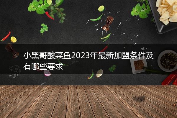 小黑哥酸菜鱼2023年最新加盟条件及有哪些要求