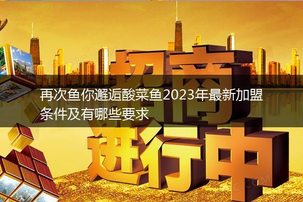 再次鱼你邂逅酸菜鱼2023年最新加盟条件及有哪些要求