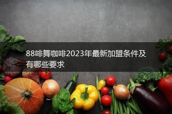 88啡舞咖啡2023年最新加盟条件及有哪些要求