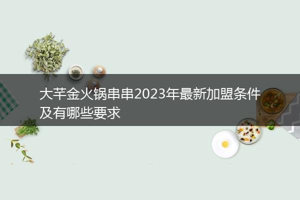 大芊金火锅串串2023年最新加盟条件及有哪些要求