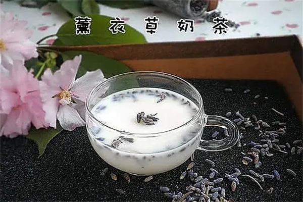 薰衣草奶茶加盟产品图片