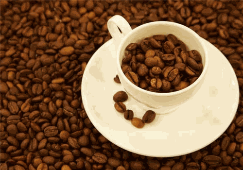 猫屎咖啡加盟产品图片