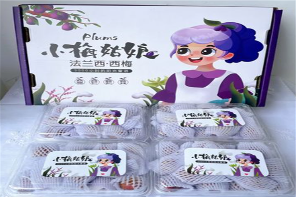 小梅姑娘休闲食品加盟产品图片