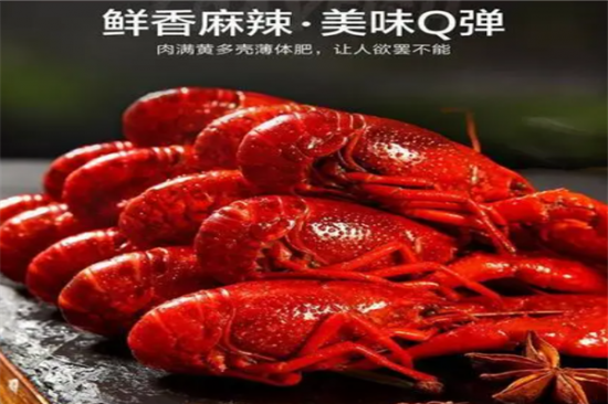 黄村麻辣小龙虾加盟产品图片