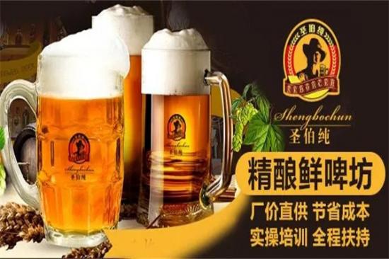 圣伯纯精酿啤酒加盟产品图片