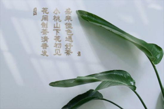 花小盛奶茶加盟